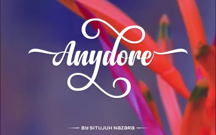 Anydore Script Font