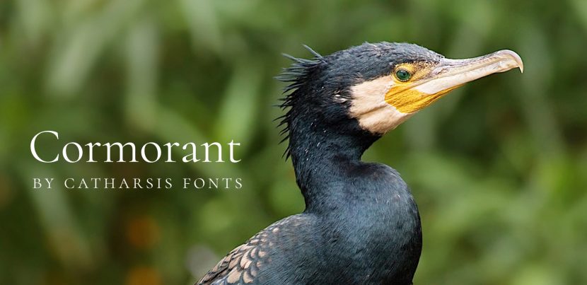 Cormorant Font Free Download