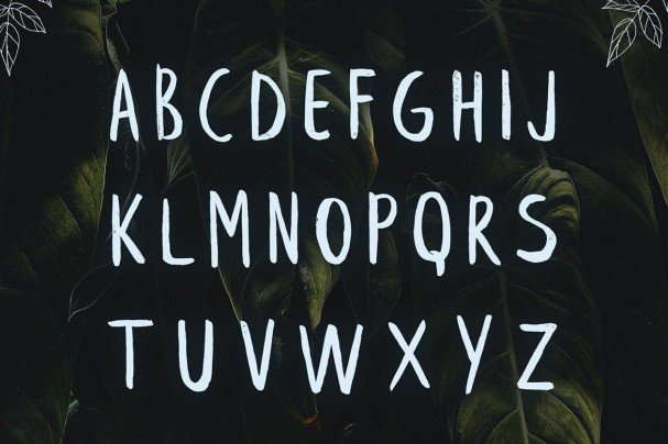 Leafy Brush Font Free Download