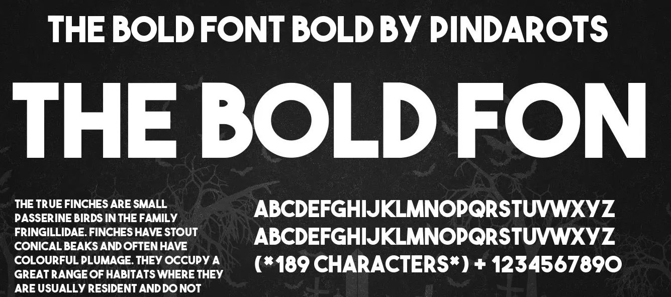 The Bold Font Free Download