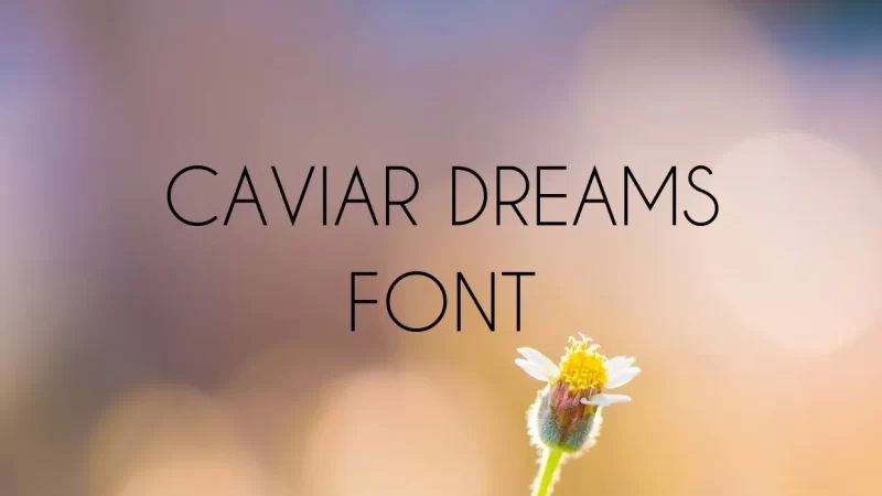 Caviar Dreams Font Free Download