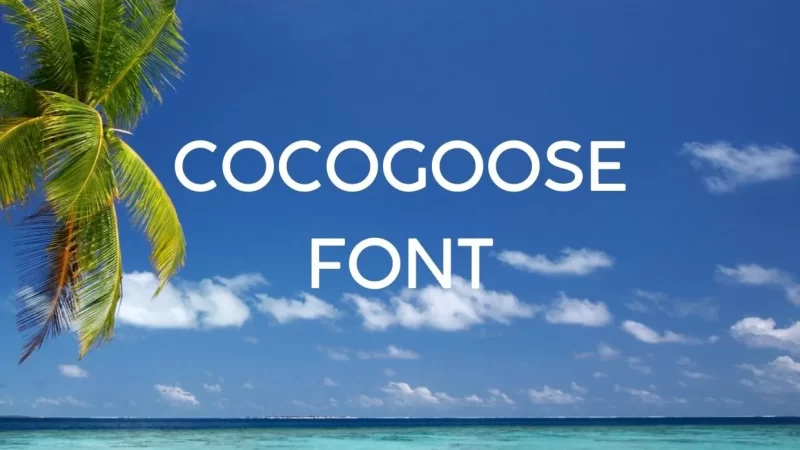 Cocogoose Font Free Download