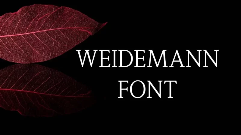 Weidemann Font Free Download