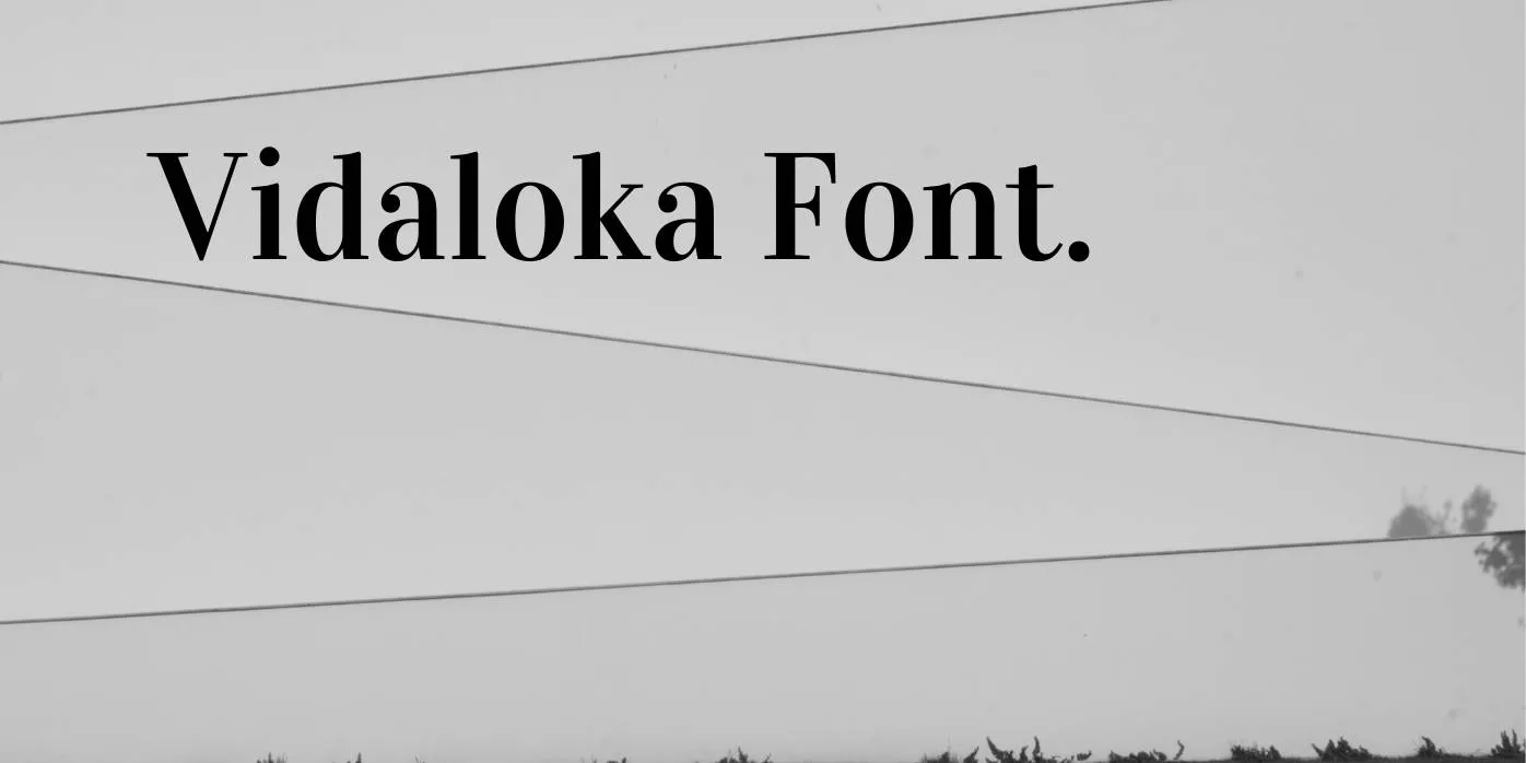 Vidaloka Font Free Download