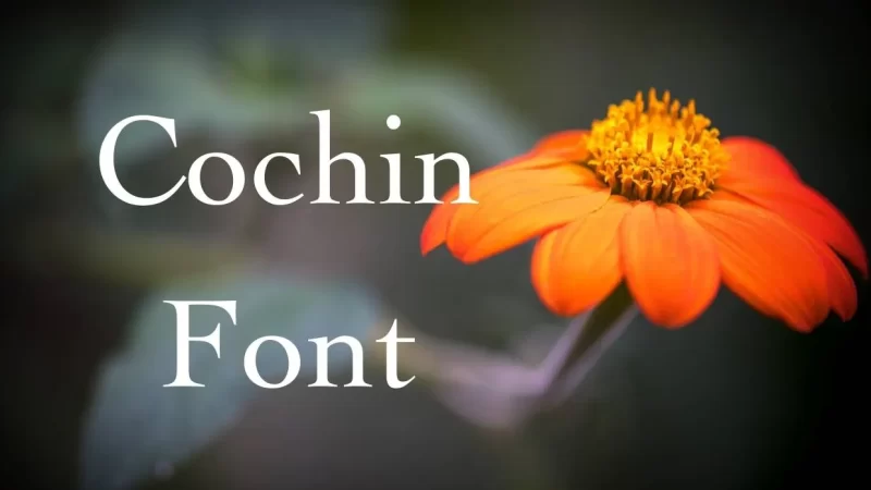 Cochin Font Free download