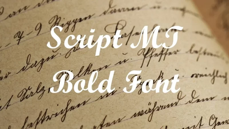 Script MT Bold Font Free Download