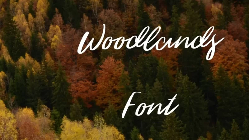 Woodlands Font Free Download