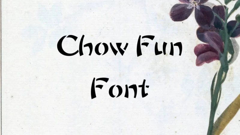 Chow Fun Font Free Download