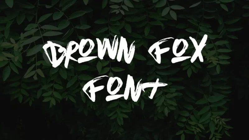 Brown Fox Font Free Download