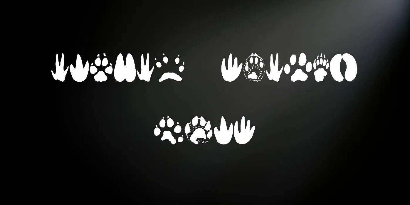 Animal Tracks Font Free Download