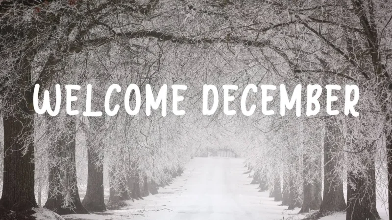 Welcome December Font Free Download