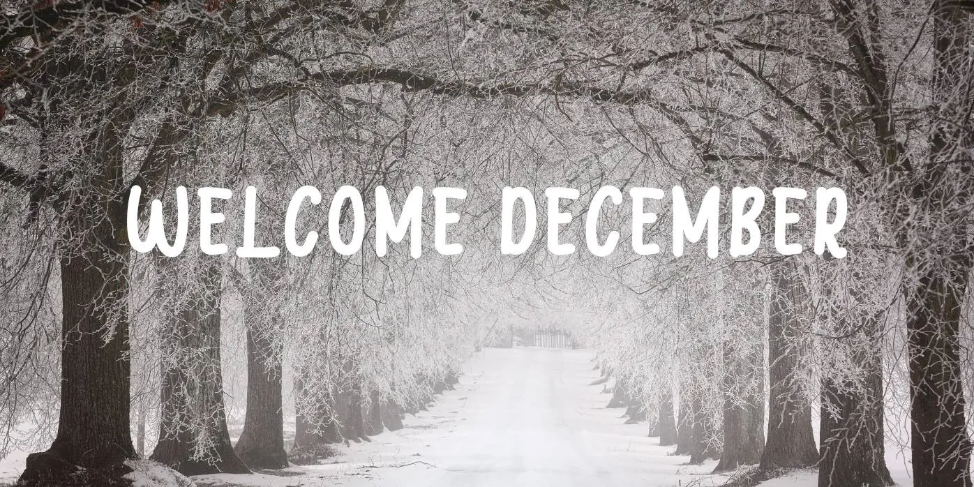 Welcome December Font Free Download